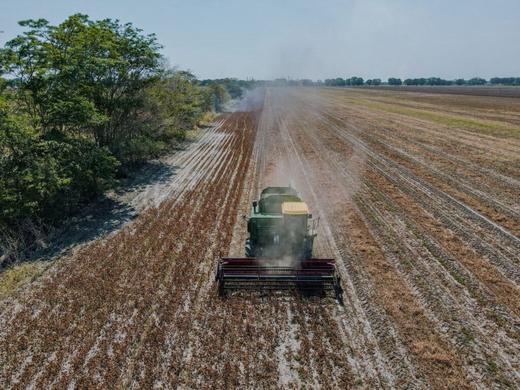 Sucessão rural no Brasil